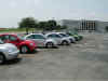 Dallas New Beetles 9.jpg (51854 bytes)