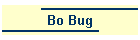 Bo Bug